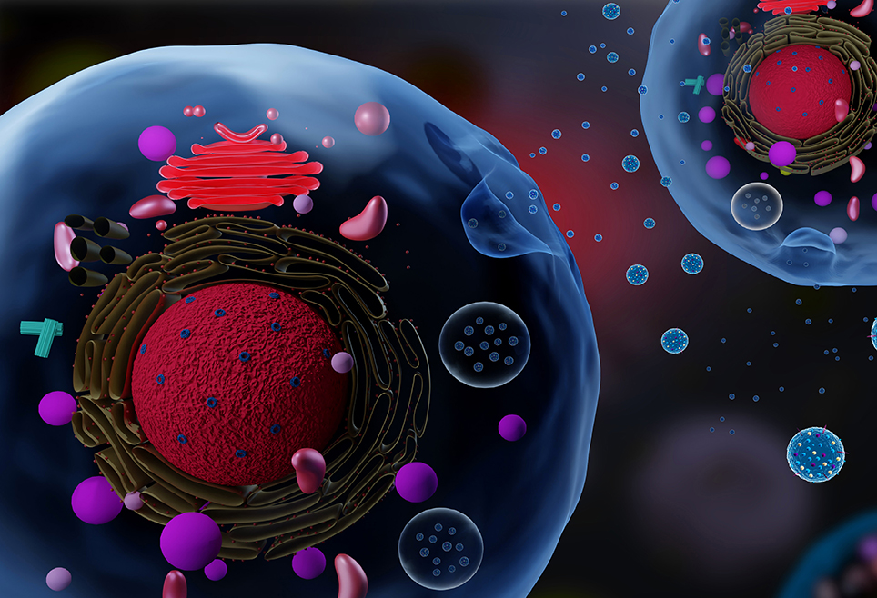 从315看见外泌体：以监管科学捍卫“新质生产力” 博雅干细胞 存储干细胞 存储健康